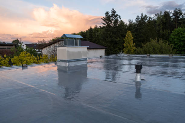 Apex Exterior Cleaning